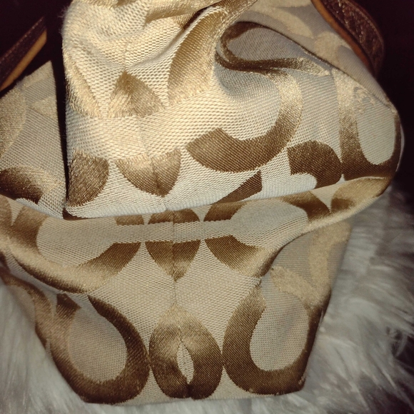 Coach - Picture 4 of 5